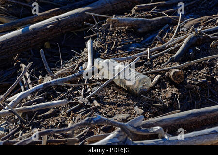 Bouteille en plastique pris dans du bois flotté sur les côtes de la Nouvelle-Zélande. Les déchets de plastique dans nos océans est un problème environnemental. Banque D'Images