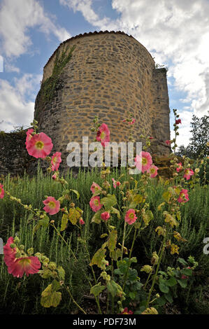 Fleurs en fleurs, Parthenay, France Banque D'Images