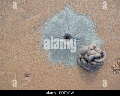 Trou de crabe et un tas de sable sur la plage du crabe de texture de fond Vue d'en haut. Banque D'Images