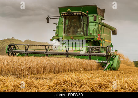 L'agriculture britannique, un John Deere moissonneuse-batteuse Hillmaster travaille sur une récolte de blé, Août 2018 Banque D'Images