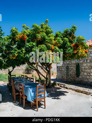 Table à manger en bois situé dans un jardin luxuriant, capturé à Sesimbra, Setúbal, Portugal Province Banque D'Images