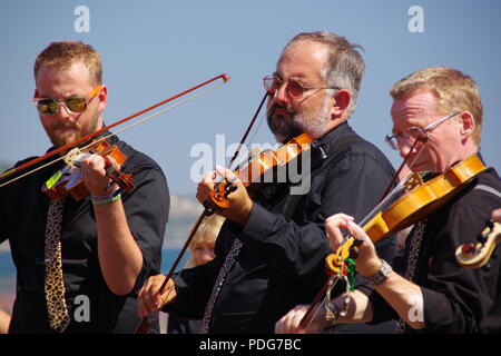 Fouetter le chat rappeur et obstruer les musiciens, jouant du violon. La ville de Sidmouth Folk Festival, l'est du Devon, Royaume-Uni. Août, 2018. Banque D'Images