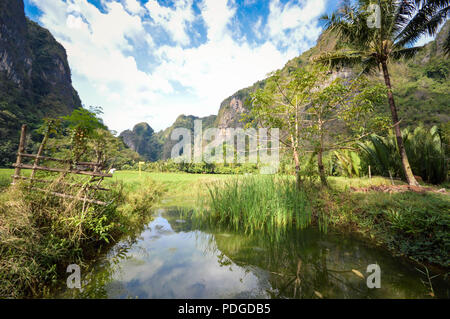 L'eau calcaire et de belles réflexions dans Rammang Rammang Park près de Makassar, au sud de Sulawesi, Indonésie Banque D'Images