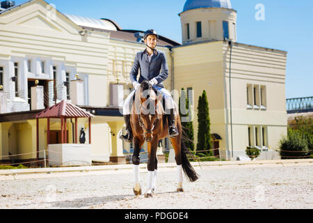 Expérience professionnelle equestrian assis sur fatigué cheval brun Banque D'Images