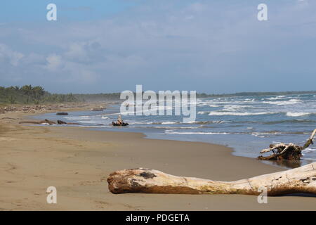 République dominicaine côte déserte avec driftwood Banque D'Images