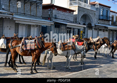 Chevaux et mulets dans la ville d''Hydra, l'île d'Hydra, Grèce Banque D'Images