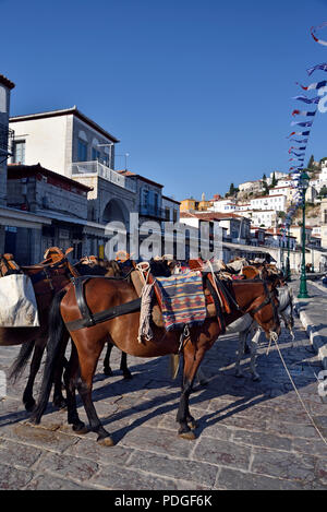 Chevaux et mulets dans la ville d''Hydra, l'île d'Hydra, Grèce Banque D'Images