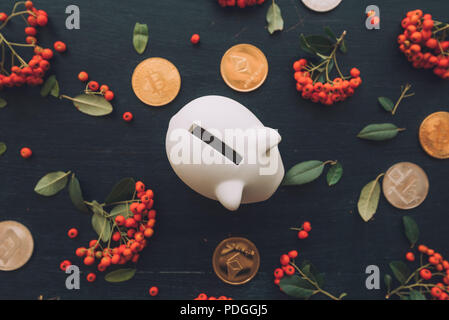 Télévision jeter piggy coin bank et cryptocurrency de pièces sur fond en bois sombre décoré de petits fruits sauvages arrangement, vue d'en haut passage tourné Banque D'Images