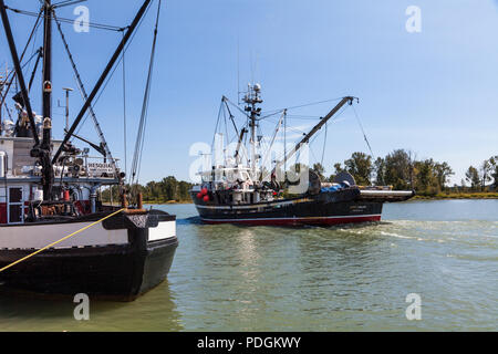 La position de bateau de pêche commerciale en amont de Steveston Harbour sur le bras sud du fleuve Fraser, près de Vancouver Banque D'Images