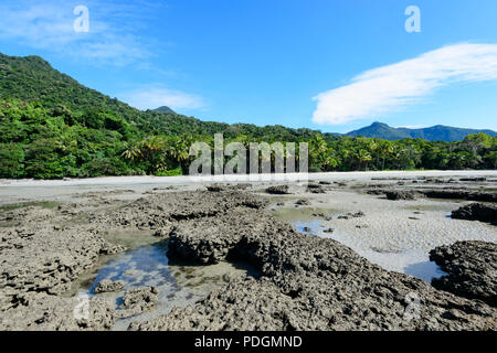 Avis de Coco, plage à marée basse, Cape Tribulation, Far North Queensland, Queensland, Australie, FNQ Banque D'Images