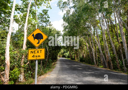 Road sign warning de casoars traversant la rue, parc national de Daintree, Cape Tribulation, Far North Queensland, Queensland, Australie, FNQ Banque D'Images