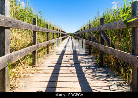 Sentier de bois par reed. Lac Takern Emplacement en Suède. Banque D'Images