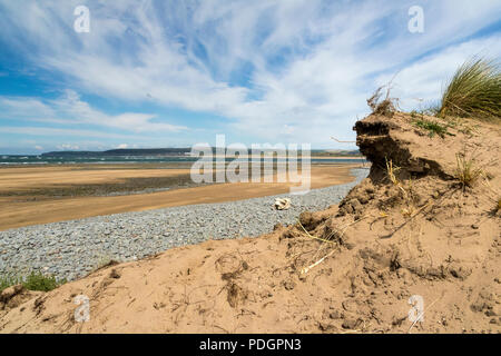 Vue des dunes de sable à Northam Burrows : en regardant vers l'estuaire,Taw-Torridge Saunton Sands et Baggy Point. Northam Burrows, Bideford, Devon, Angleterre. Banque D'Images