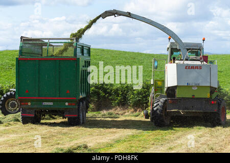 Castletownshend, West Cork, Irlande. 9 Août, 2018. Une belle journée ensoleillée en Castletownshend aux températures jusqu'à 19®C, qui après quelques pluies récentes ont permis à des agriculteurs pour recueillir leur deuxième coupé de l'ensilage. Credit : aphperspective/Alamy Live News Banque D'Images