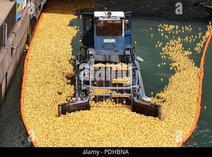 Chicago, USA. 9 Août, 2018. Canards en caoutchouc flotter dans la rivière Chicago au cours de la 13e édition de la Chicago Ducky Derby à Chicago, États-Unis, 9 août 2018. Organisateurs de tournois a chuté d'environ 60 000 canards en caoutchouc dans la rivière Chicago jeudi pour commencer le caoutchouc Ducky Derby cette année, ce qui aide à recueillir des fonds pour les Jeux olympiques spéciaux de l'Illinois. Credit : Wang Ping/Xinhua/Alamy Live News Banque D'Images