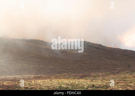 Les blattes La Hulme Nr Poireau, Staffordshire. L'Angleterre. 9 août 2018. Le feu sauvage sur les blattes. 10 moteurs d'incendie et de sauvetage présents, environ 60 pompiers, de poireau, Cheadle, Hanley, Stoke, Newcastle, Buxton, postes d'incendie. Le feu sauvage a été causée par 2 jeunes ayant un feu pour cuire leur déjeuner, ils ont réalisé le feu nécessaire pour éteindre et se rendit à la maison la plus proche et demanda un peu d'eau. Le service d'incendie a été expédié du Staffordshire, aux alentours de 2 h jeudi 09 août 2018. © Chris Photographie Murs/Alamy Live News Banque D'Images