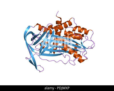 26 PDB 1DVN EBI Banque D'Images