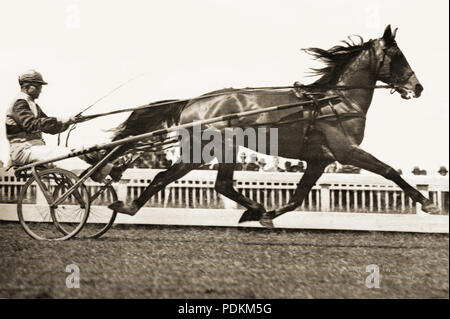 78 Derby de pelouse (AUS) Banque D'Images