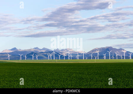 Production d'énergie éolienne dans un champ avec les Rocheuses en arrière-plan à Pincher Creek, Alberta, Canada. Banque D'Images