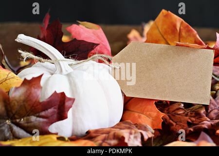 Mini white pumpkin avec carte vierge. Espace libre pour le texte. Banque D'Images