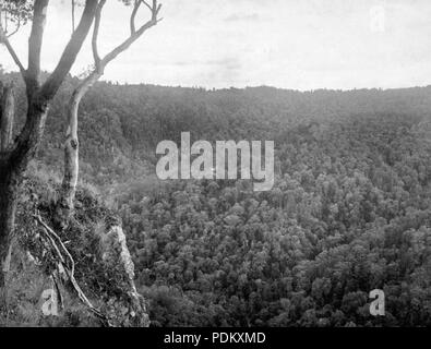 115 Archives de l'État du Queensland de Canungra 435 Parc National de Lamington Ullenhall Shire Septembre 1933 Banque D'Images