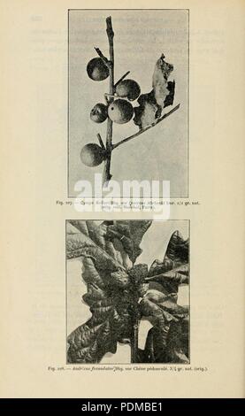 Annales de la science agronomique française et étrangère (page 342) Banque D'Images
