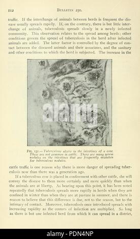 Rapport annuel de l'Université Cornell, Ithaca Poste de l'expérience agricole, N.Y (page 112) Banque D'Images