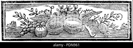 Anonyme ou collectif - voyages imaginaires, songes, visions et romans cabalistiques, tome 21 (page 19) des cultures. Banque D'Images