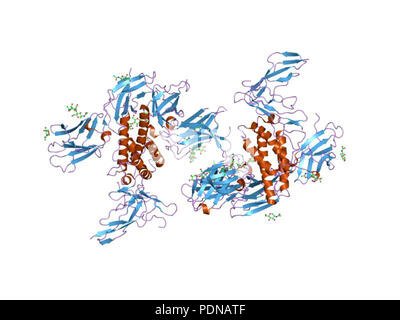 183 PDB 2erj EBI Banque D'Images