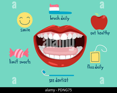 Illustration d'une bouche ouverte montrant Ensemble complet de dents et de la langue avec des différents éléments d'une bouche saine Banque D'Images