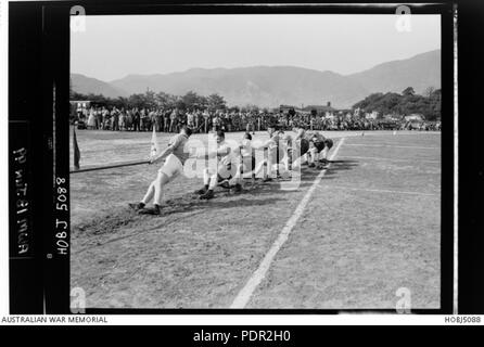 60 HOBJ5088 l'équipe de souque Anzac tirant au cours de la Forces du Commonwealth britannique en Corée (BCFK) réunion athlétique annuel Banque D'Images