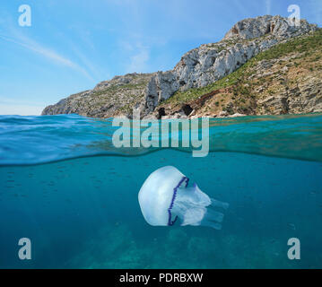 Côte Rocheuse avec une méduse et petits poissons sous l'eau, vue fractionnée au-dessus et au-dessous de la surface de l'eau, mer Méditerranée, Javea, Costa Blanca, Espagne Banque D'Images