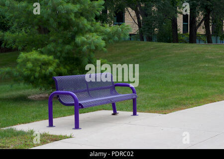 Banc de parc violet sur un trottoir près de pelouse Banque D'Images