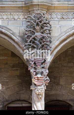 Nordempore Paradiesbaum mit Banque D'Images