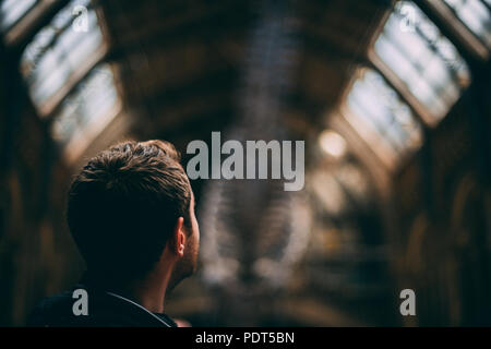 Natural History Museum London Banque D'Images