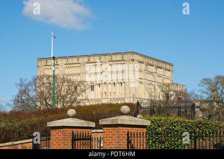 Château Norman à Norwich en Norfolk, East Anglia, Angleterre Banque D'Images