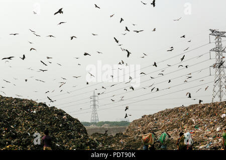 Matuail dépotoir yard à Dhaka, au Bangladesh. Il a reçu 1500 tonnes de déchets par jour et le site est aujourd'hui l'un des meilleurs exemples d'un w Banque D'Images