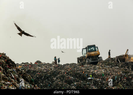 Matuail dépotoir yard à Dhaka, au Bangladesh. Il a reçu 1500 tonnes de déchets par jour et le site est aujourd'hui l'un des meilleurs exemples d'un w Banque D'Images