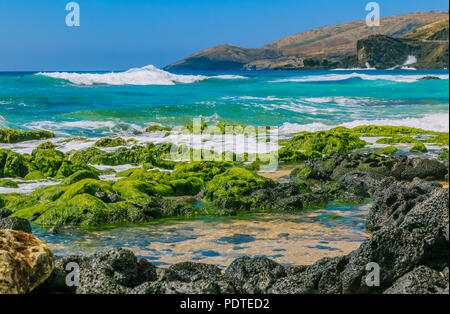 Lagon tropical et les mares d'eau sur une plage rocheuse à Oahu, Hawaii Banque D'Images