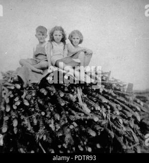 201 1 104528 StateLibQld Antoniades enfants et ami assis sur couper la canne à sucre dans la région de Home Hill, ca. 1940 Banque D'Images