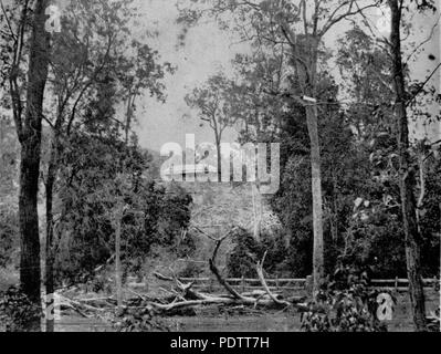 205 1 110388 StateLibQld Maison vue à travers les arbres à St. John's Wood, Brisbane, ca. 1870 Banque D'Images