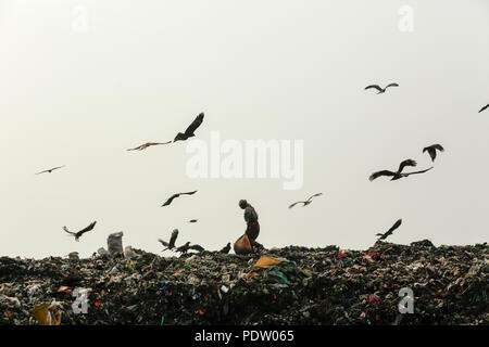 Matuail dépotoir yard à Dhaka, au Bangladesh. Il a reçu 1500 tonnes de déchets par jour et le site est aujourd'hui l'un des meilleurs exemples d'un w Banque D'Images