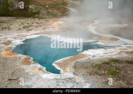 Blue Star Printemps à Upper Geyser Basin, Parc National de Yellowstone, Wyoming Banque D'Images