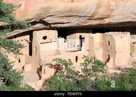 Cliff dwellings Anasazi antique de Mesa Verde, Colorado, United States Banque D'Images