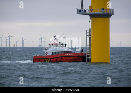 L'équipage du navire de transfert, Njord Petrel de travailler sur le parc éolien offshore Extension Walney Banque D'Images