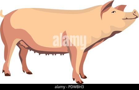 Animal de porc Mammal vecteur Illustration de Vecteur