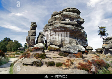 Brimham Rocks est une superbe collection de roches naturelles meule dans Yorkshire du Nord, géré par le National Trust. Banque D'Images