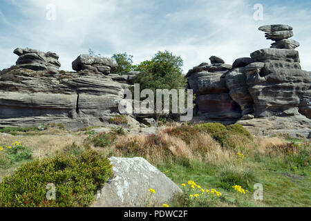 Brimham Rocks est une superbe collection de roches naturelles meule dans Yorkshire du Nord, géré par le National Trust. Banque D'Images