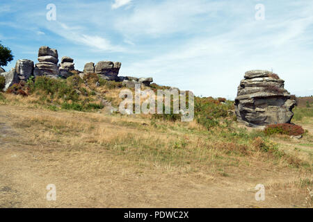 Brimham Rocks est une superbe collection de roches naturelles meule dans Yorkshire du Nord, géré par le National Trust. Banque D'Images