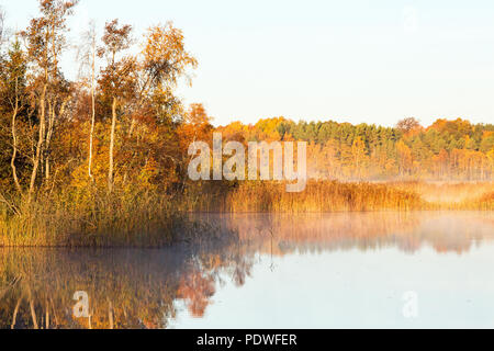Couleurs d'automne dans le lac des roseaux Banque D'Images